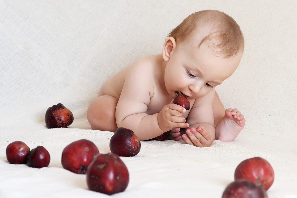 The child has a lifetime effect on what he eats in the first years