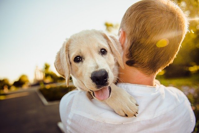 The impact of animal husbandry on children