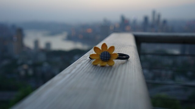 The tallest bridge in the world