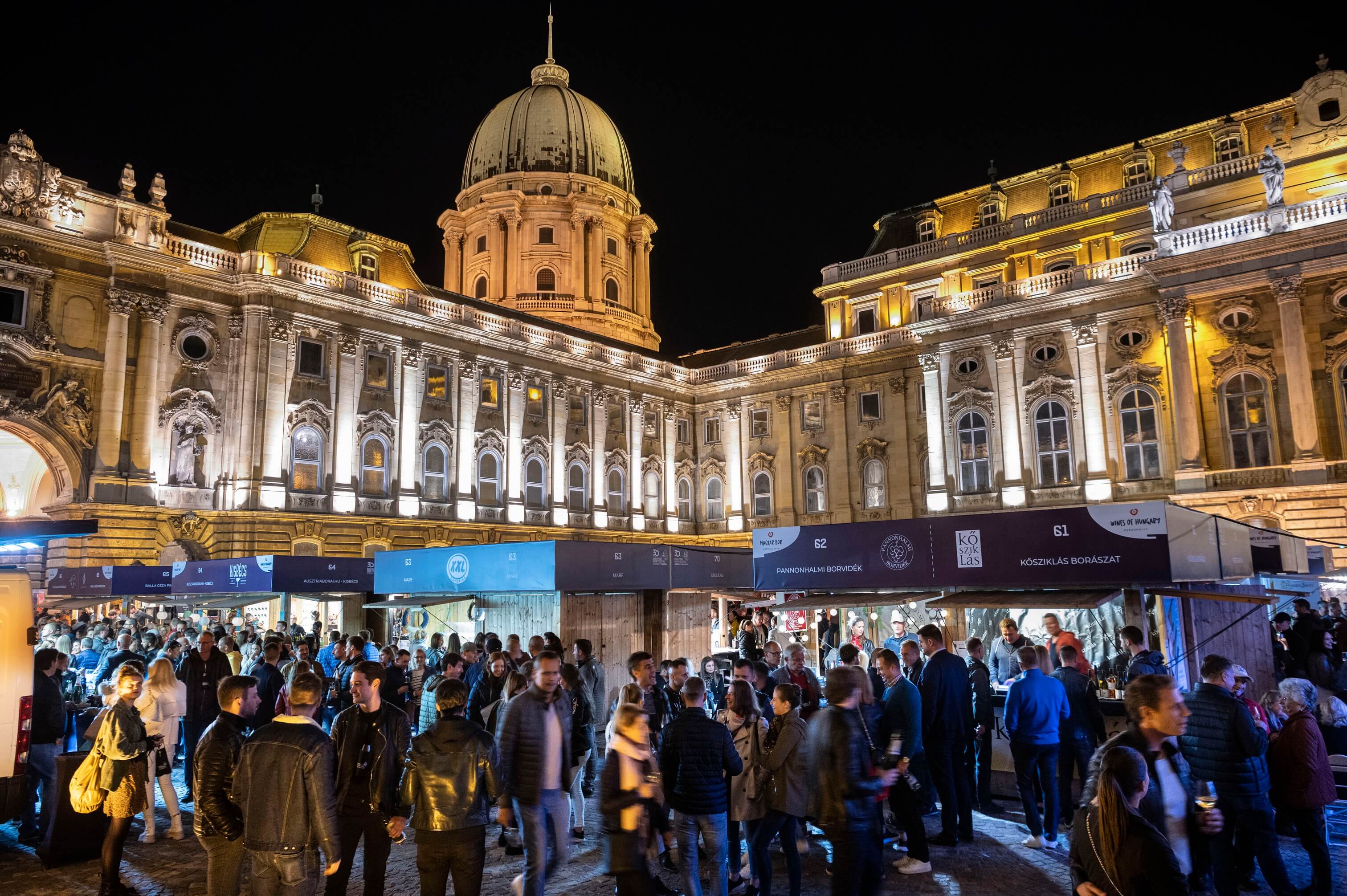 Budapest Wine Festival with the best wines (X)