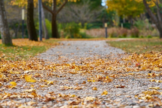 An autumn cheerleader for gloomy, cold days